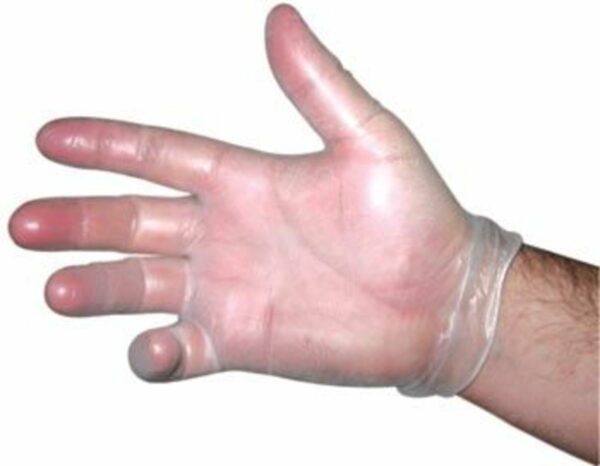 Vinyl Collection Gloves, Powder-Free, 100/bx - 860203